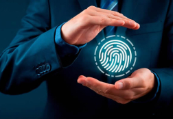 Consulta de situação fiscal em Ponta Grossa