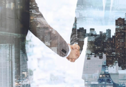 Renovação de alvarás e licenças em Ponta Grossa